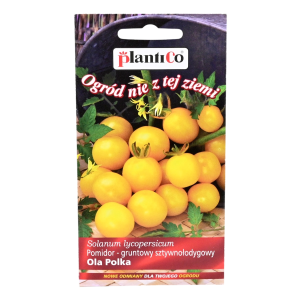 Pomidor koktajlowy żółty OLA POLKA typ cherry - nasiona PlantiCo 0,5g
