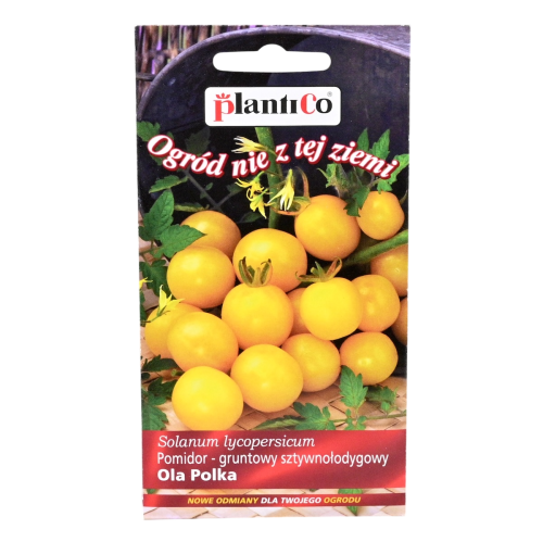 Pomidor Ola Polka nasiona Plantico - 1.png