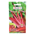 Burak liściowy Rhubarb Chard nasiona Plantico - 1.png