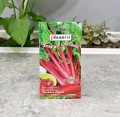 Burak liściowy Rhubarb Chard nasiona Plantico - 2.JPG