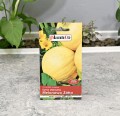 Dynia Melonowa Żółta nasiona PlantiCo - 2.JPG