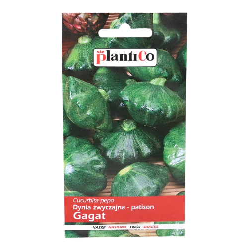 Dynia patison Gagat nasiona Plantico - 1.png