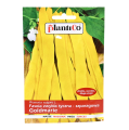 Fasola Goldmarie nasiona Plantico - 1.png