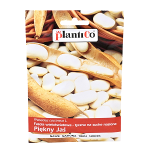 Fasola PIĘKNY JAŚ - odmiana tyczna na ziarno - nasiona PlantiCo 40g