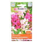 Groszek ozdobny szerokolistny - mix kolorów - nasiona PlantiCo 2g