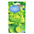 Sałata szklarniowa nasiona Polan - 1.png