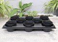 Rozsadnik Horti-11:8 - 2.JPG