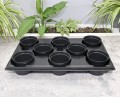 Rozsadnik Horti-11:8 - 3.JPG