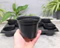 Rozsadnik Horti-11:8 - 4.JPG