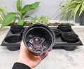 Rozsadnik Horti-11:8 - 5.JPG