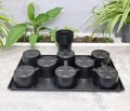 Rozsadnik Horti-11:8 - 9.JPG