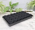 Rozsadnik Horti-28:7:OK - 2.JPG