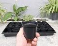 Rozsadnik Horti-28:7:OK - 4.JPG