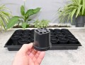 Rozsadnik Horti-28:7:OK - 6.JPG