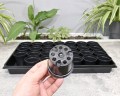 Rozsadnik Horti-28:7:OK - 7.JPG