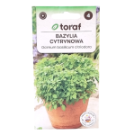 BAZYLIA CYTRYNOWA - o zapachu i smaku cytryny - nasiona Toraf 0,5g