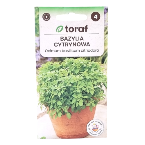 Bazylia cytrynowa Toraf - 1.png