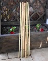 Tyczka bambusowa 75cm - 2.JPG