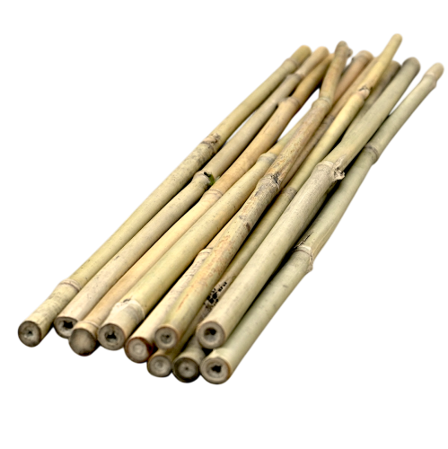 Tyczka bambusowa 60cm - 1 x10.png