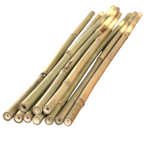 Tyczka bambusowa 75cm - 1 x10.png