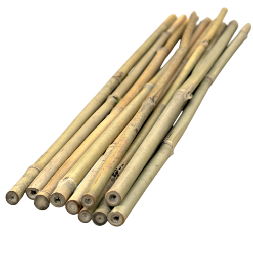 Tyczka bambusowa 90cm - 1 x10.png
