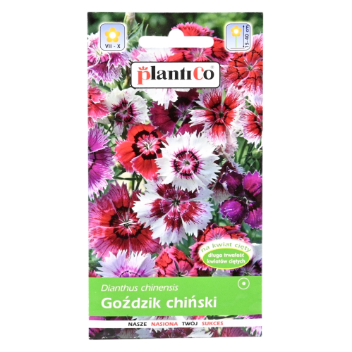 Goździk chiński mix - nasiona Plantico 1.png