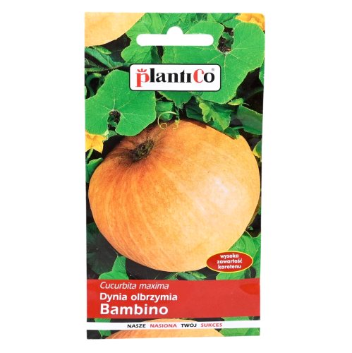 Dynia Bambino nasiona Plantico - 1.png