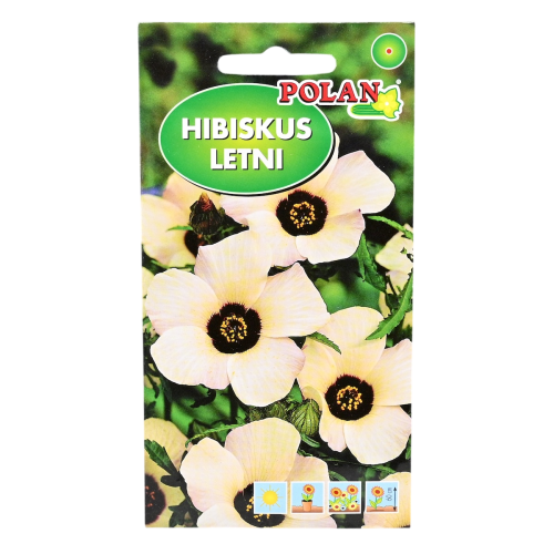 Hibiskus letni - nasiona Polan 1.png