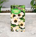 Hibiskus letni - nasiona Polan 2.JPG