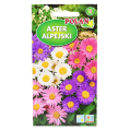 Aster alpejski nasiona Polan - 1.png