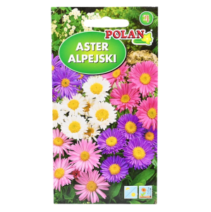 ASTER ALPEJSKI MIX - wieloletni, bylina - nasiona Polan 0,3g