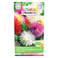 Aster chiński igiełkowy wysoki mix - nasiona Plantico 1.png