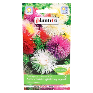 ASTER chiński IGIEŁKOWY wysoki mix kolorów - nasiona PlantiCo 1g
