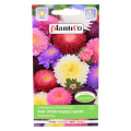 Aster chiński książęcy wysoki mix - nasiona Plantico 1.png