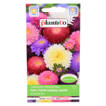 Aster chiński KSIĄŻĘCY WYSOKI MIX - na kwiat cięty - nasiona PlantiCo 1g