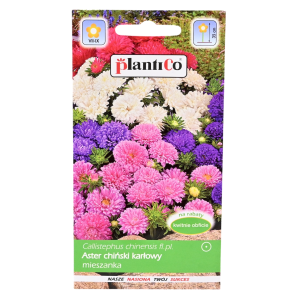 ASTER chiński KARŁOWY PEONIOWY MIX - nasiona PlantiCo 1g