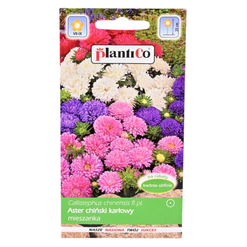 Aster karłowy mix nasiona Plantico - 1.png
