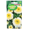 Aster książęcy biały nasiona Polan - 1.png