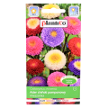 Aster pomponowy mix nasiona Plantico 1.png