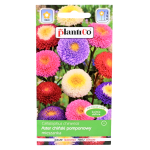 Aster chiński POMPONOWY MIX - nasiona PlantiCo 1g