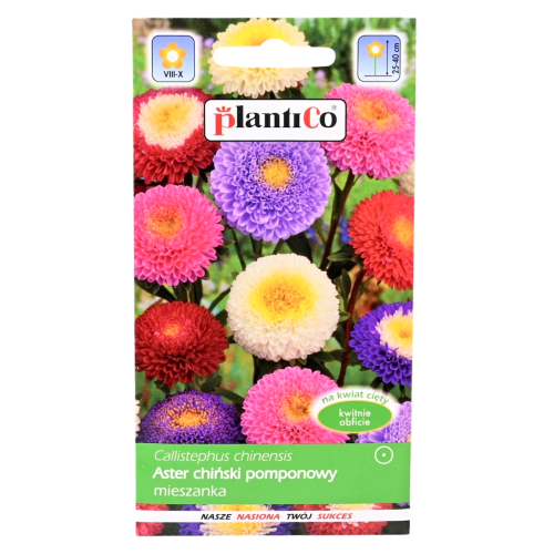 Aster pomponowy mix nasiona Plantico 1.png