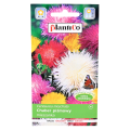Chaber piżmowy mix nasiona Plantico - 1.png