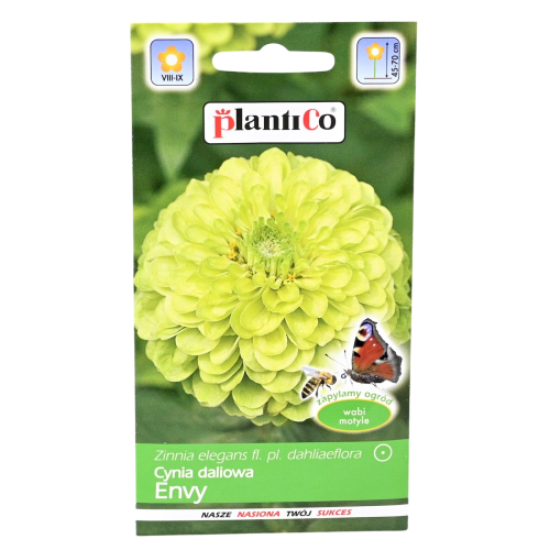 Cynia Envy nasiona Plantico - 1.png