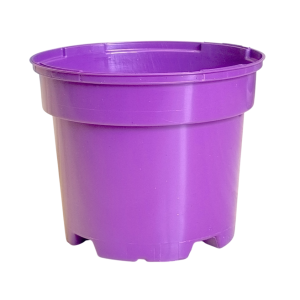 Doniczka produkcyjna na wrzosy wrzośce lawendy 1L 13cm RS1A fioletowa