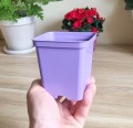 Doniczka 9cm 0,5L KW fioletowa - 3.jpg