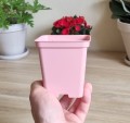Doniczka 9cm 0,5L KW różowa - 3.jpg
