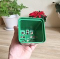 Doniczka 9cm 0,5L KW zielona - 4.jpg