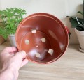 Doniczka 21cm 5,5L terakota - 3.jpg