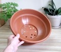 Misa Andromeda 35cm z podstawką - 6.jpg