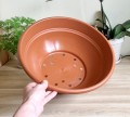 Misa Andromeda 40cm z podstawką - 4.jpg